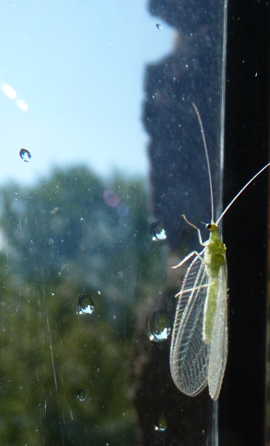 Zen.nl, Zen, meditatie, leren mediteren, foto